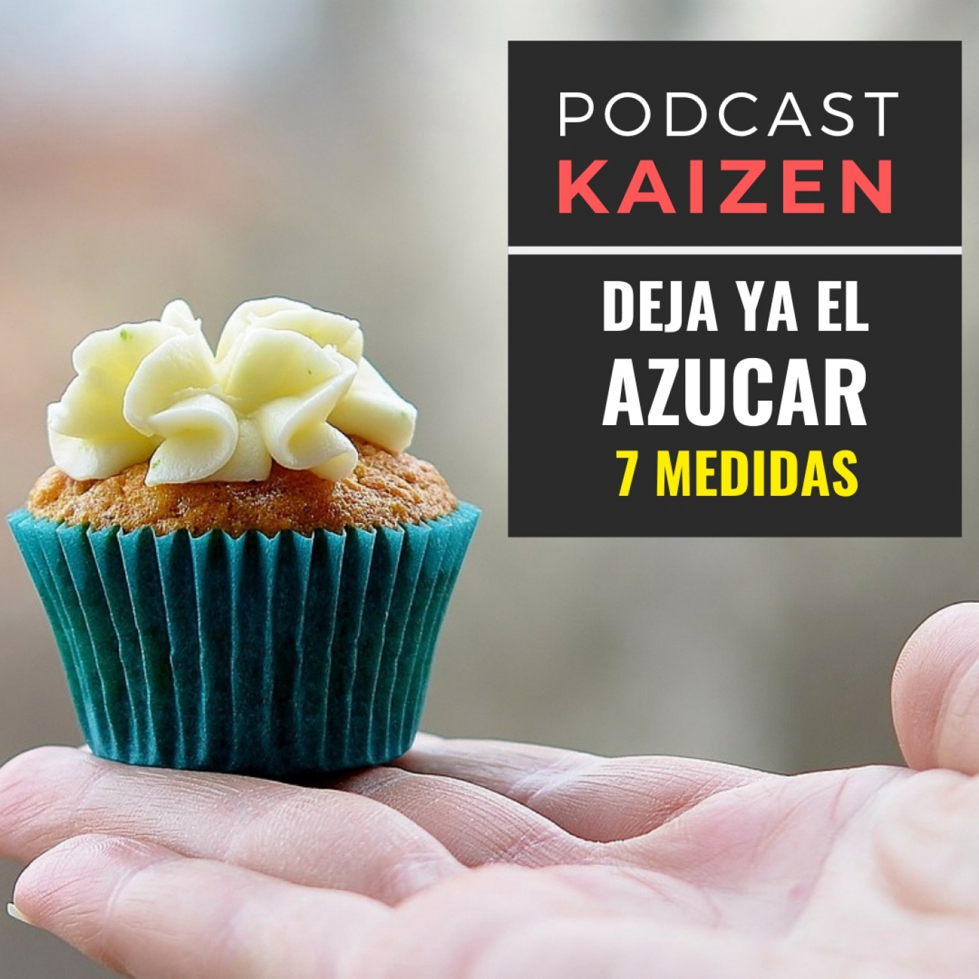 Kaizen por Macrobiótica Zen