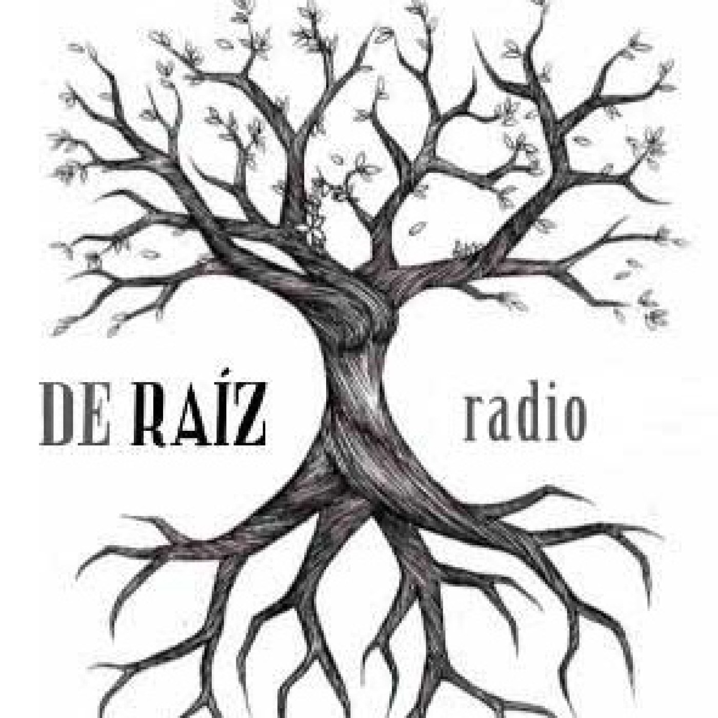 De Raíz Radio