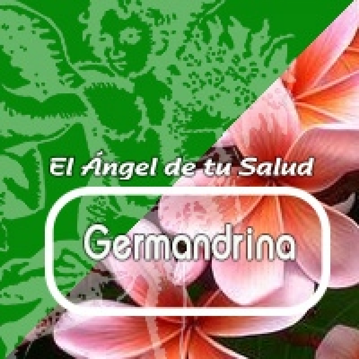 El ángel de tu salud- GERMANDRINA *** episode artwork