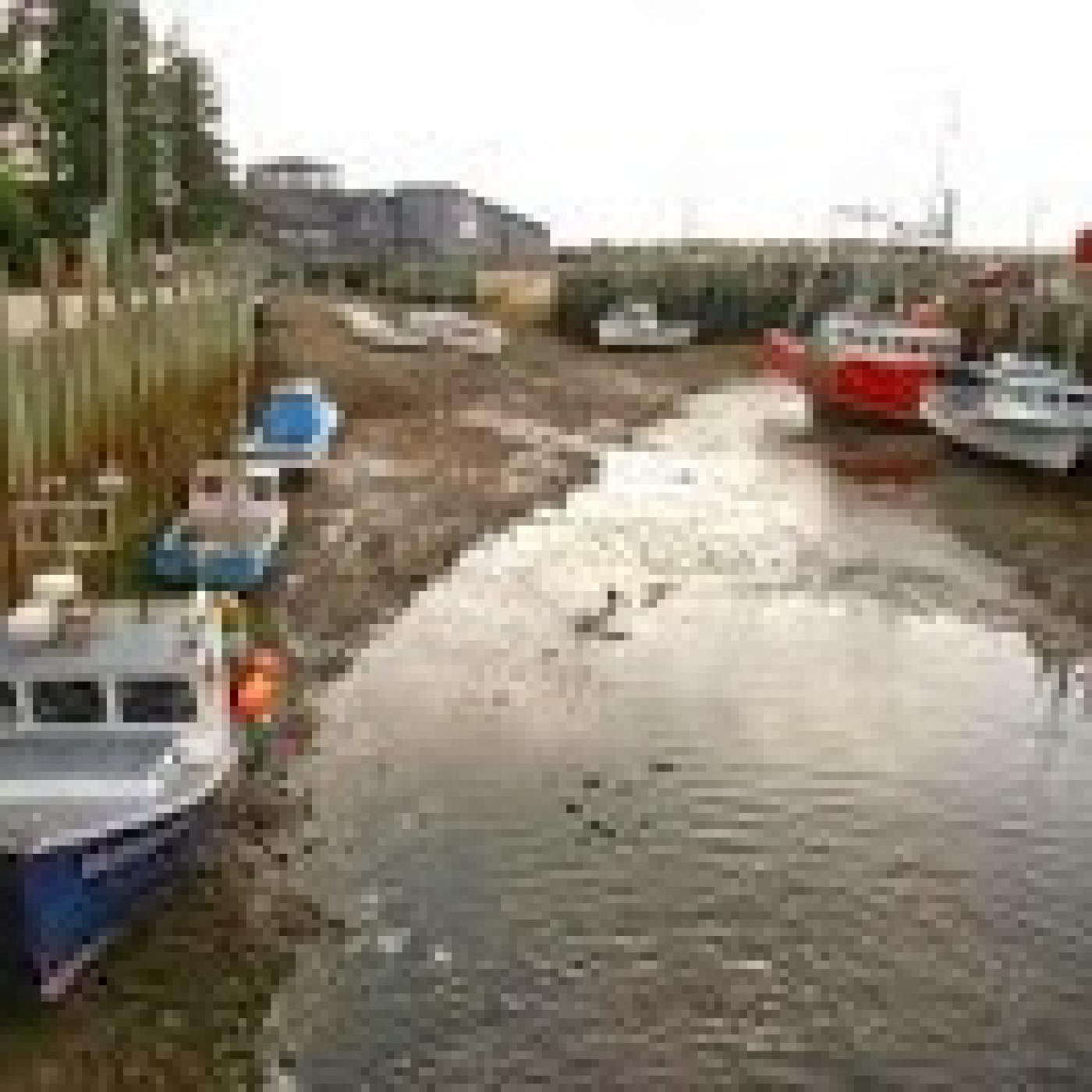 EHC 12T10- La badia de Fundy o les marees de set pisos episode artwork