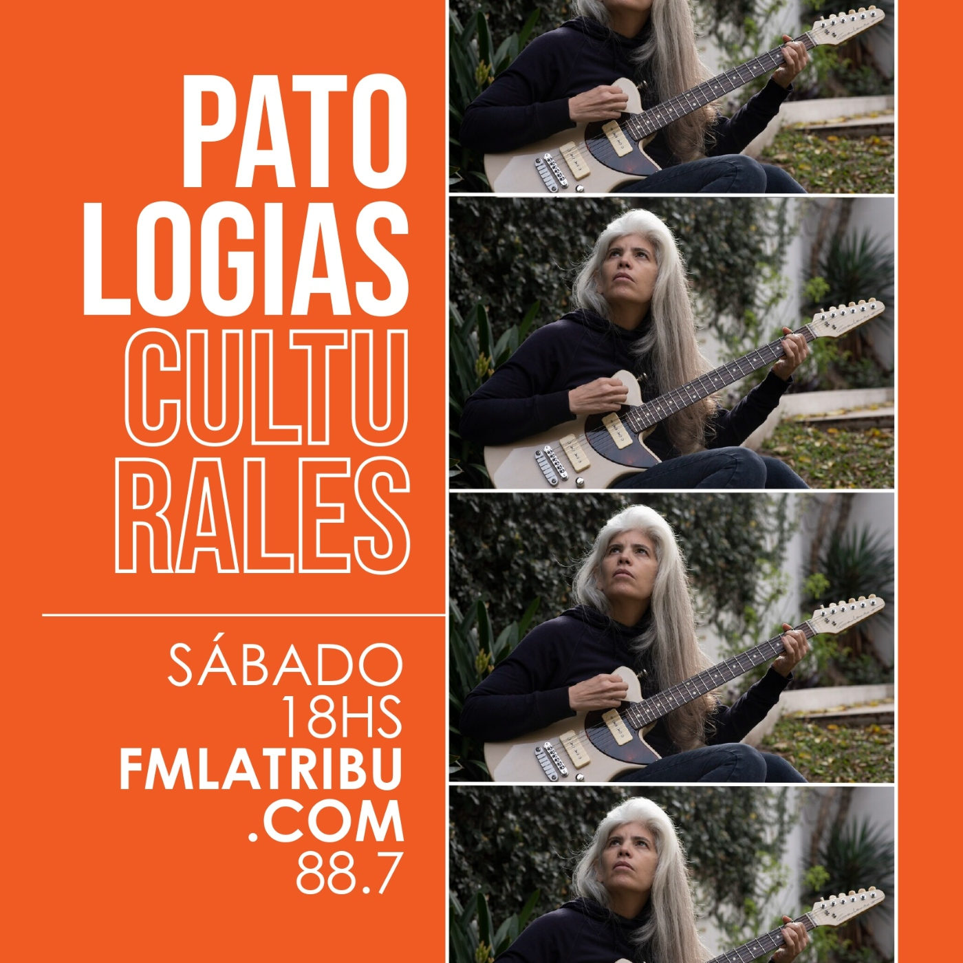Patologías Culturales