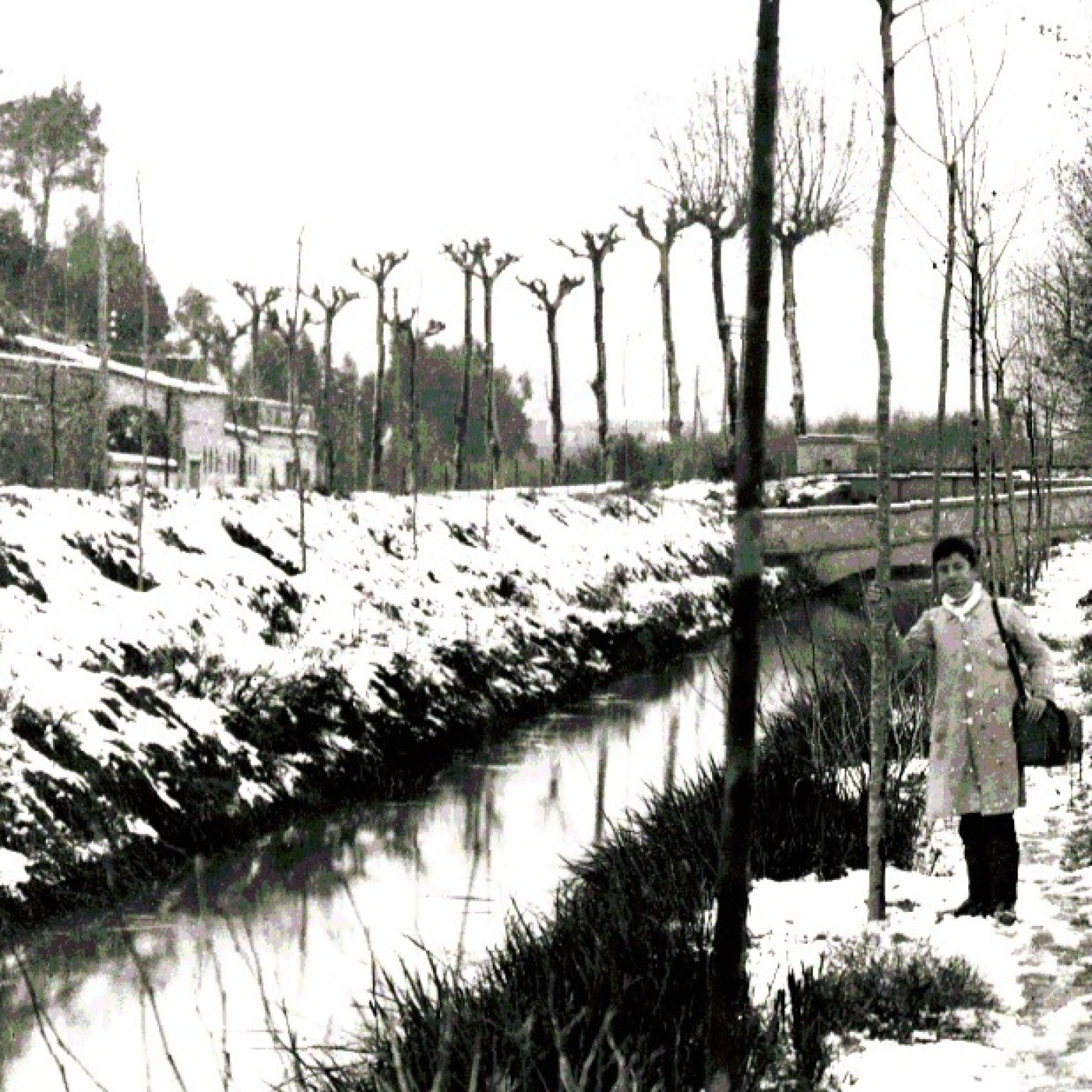 2024-05-23 MiP - 255 - El Canal de la Dreta del Llobregat episode artwork