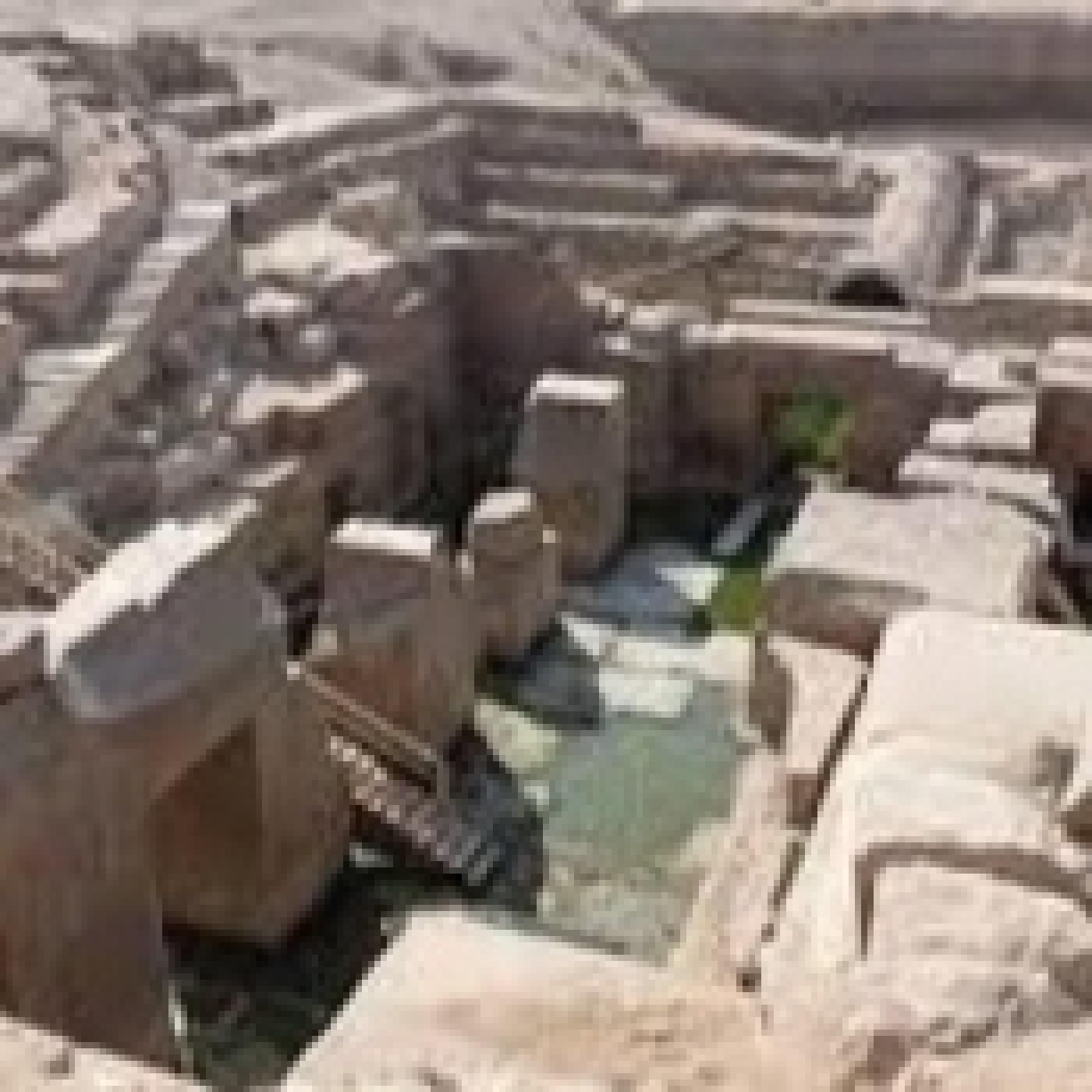 Luces en la oscuridad