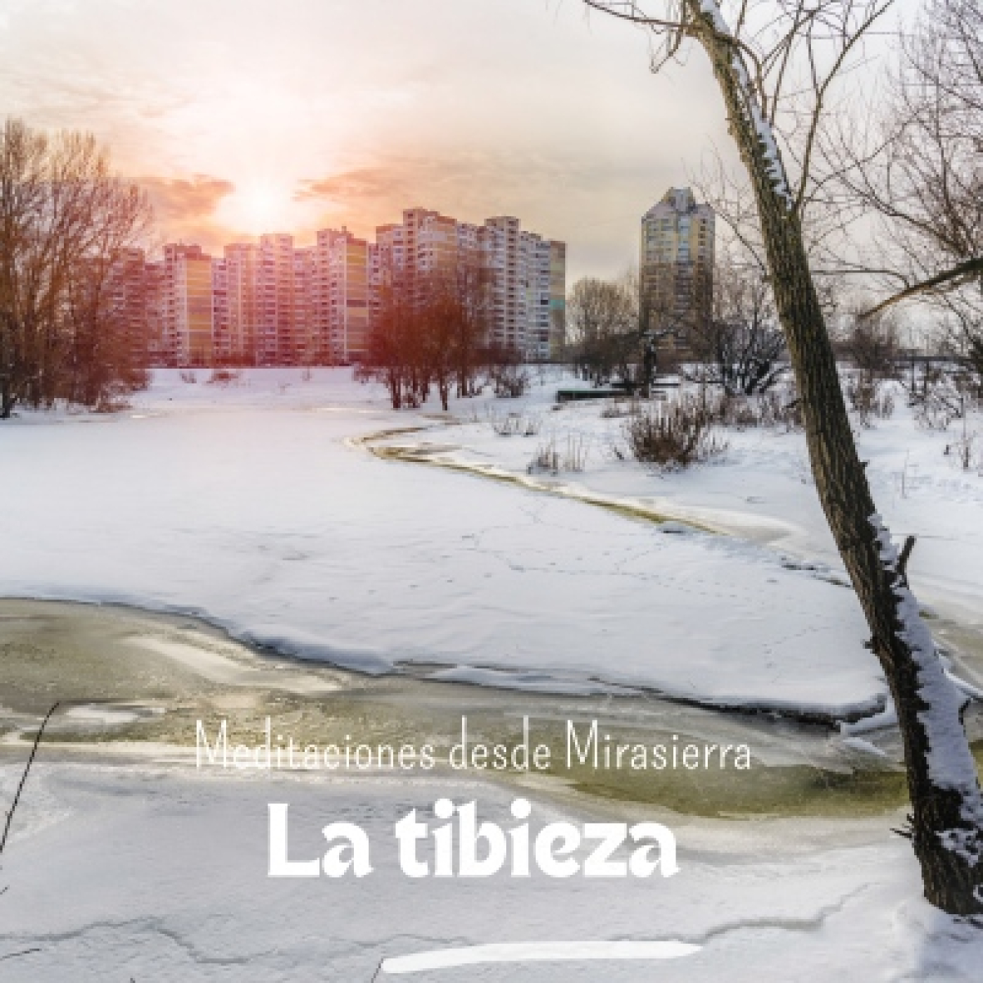 Meditaciones desde Mirasierra