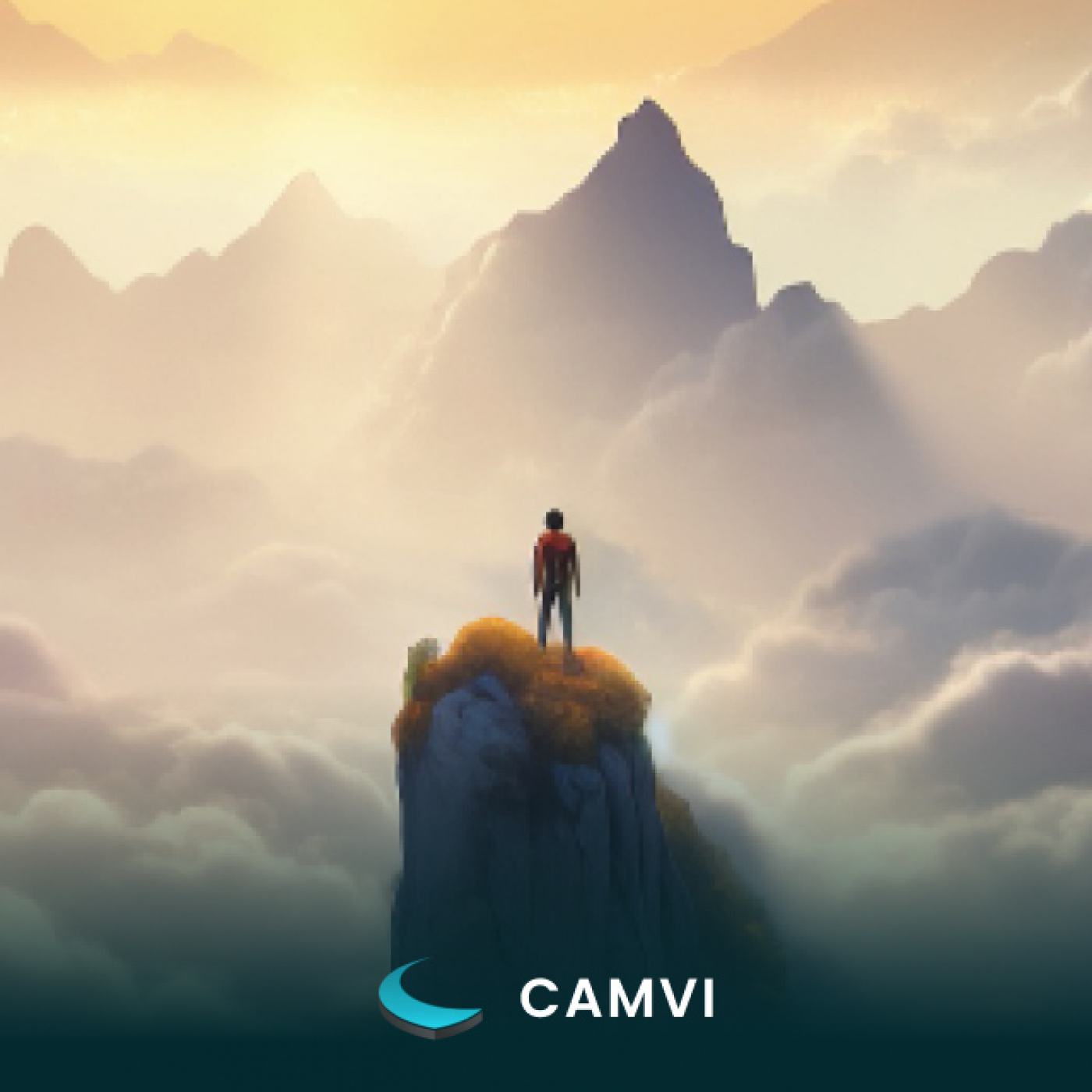 CAMVI