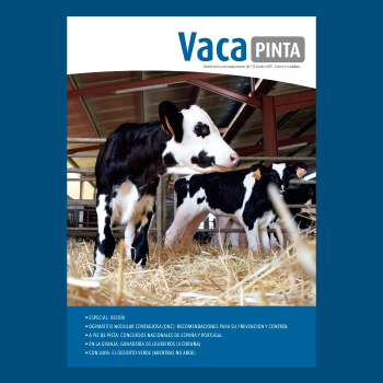 Presentación de Vaca Pinta 55