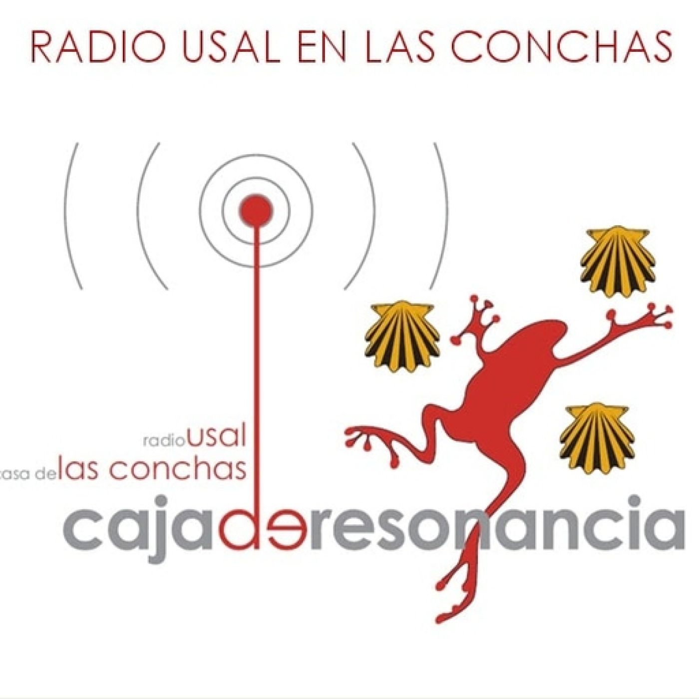 Últimos programas en Radio USAL