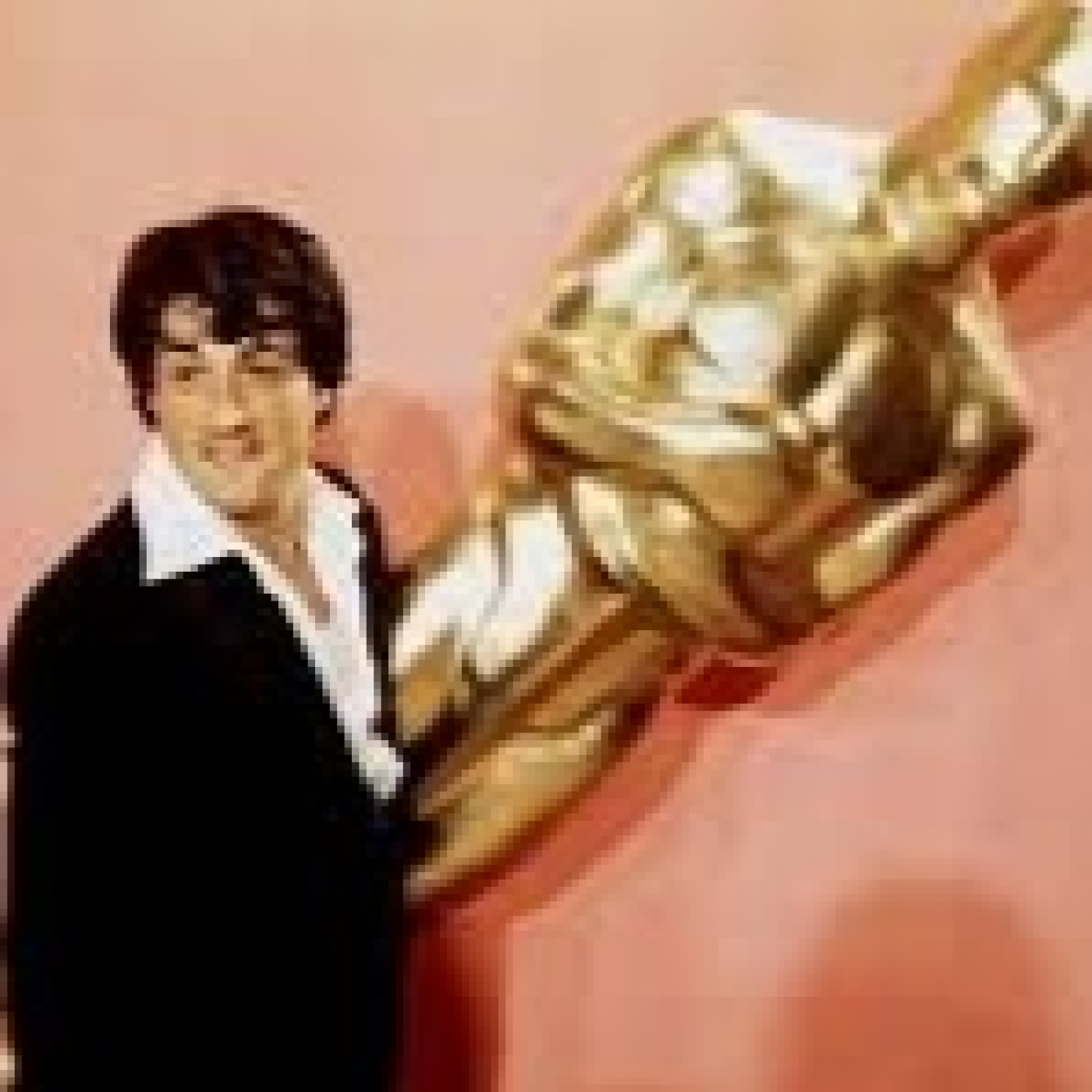 Stallone de mi vida