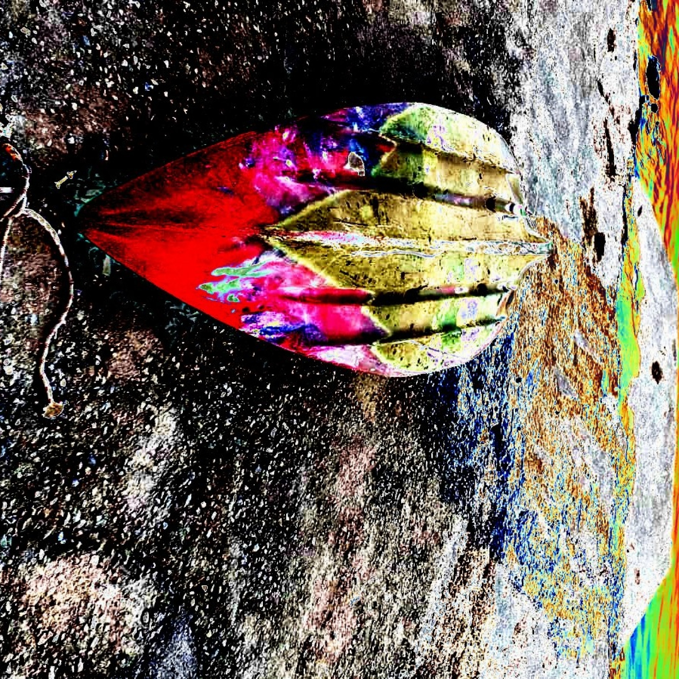815 Música sin usura 14-06-2026______ (215 SLUM’S ECLECTIC SESSIONS) episode artwork