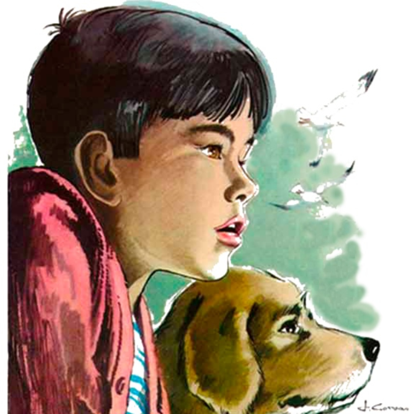 Cuentos Infantiles