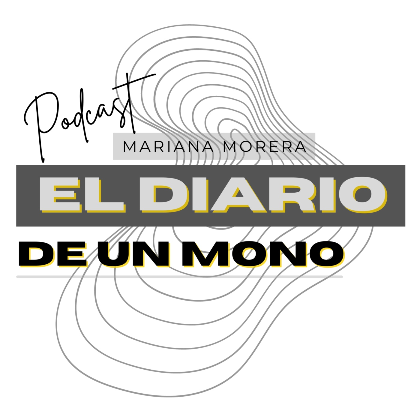 El Diario de un artista