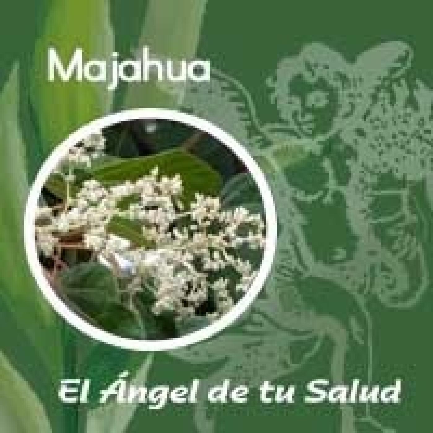 El Ángel de tu Salud - Majahua**