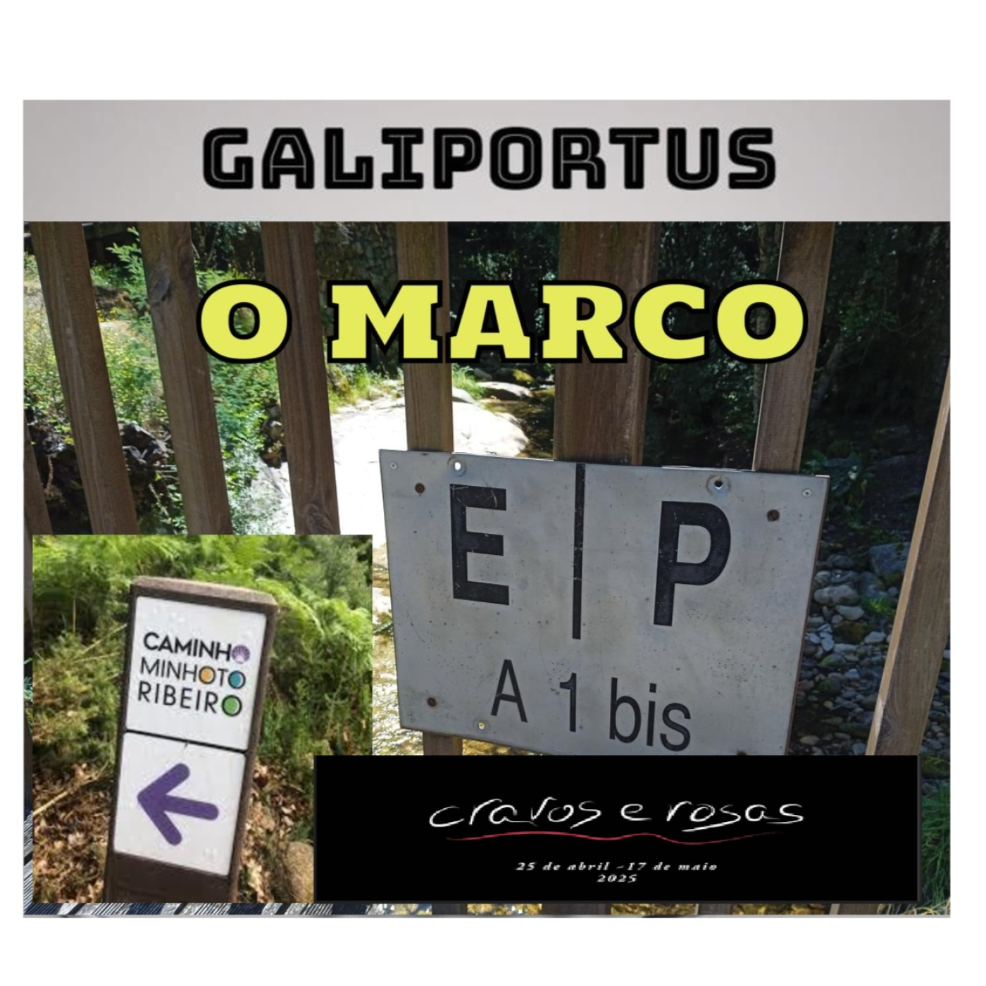 GALIPORTUS