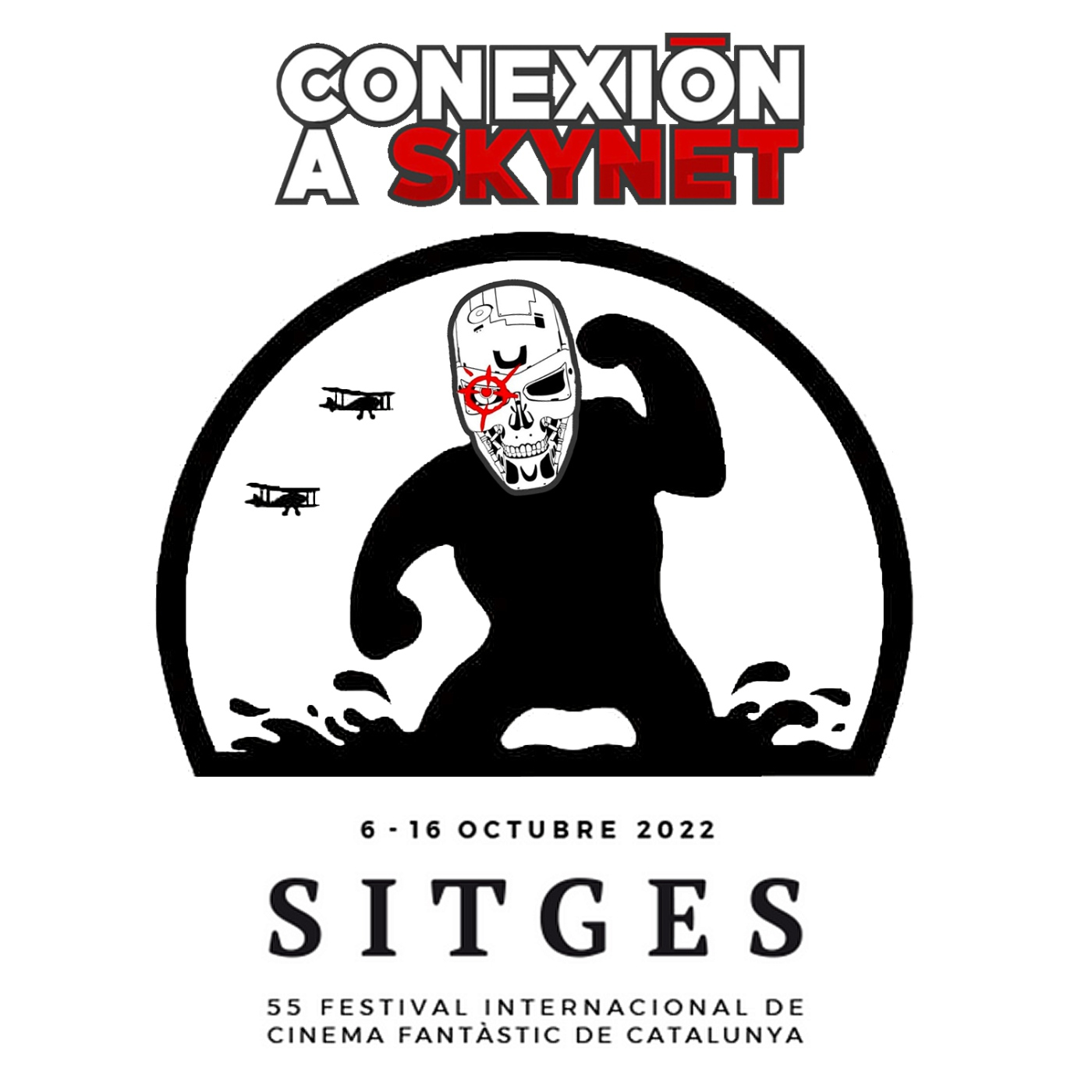CONEXIÓN A SKYNET