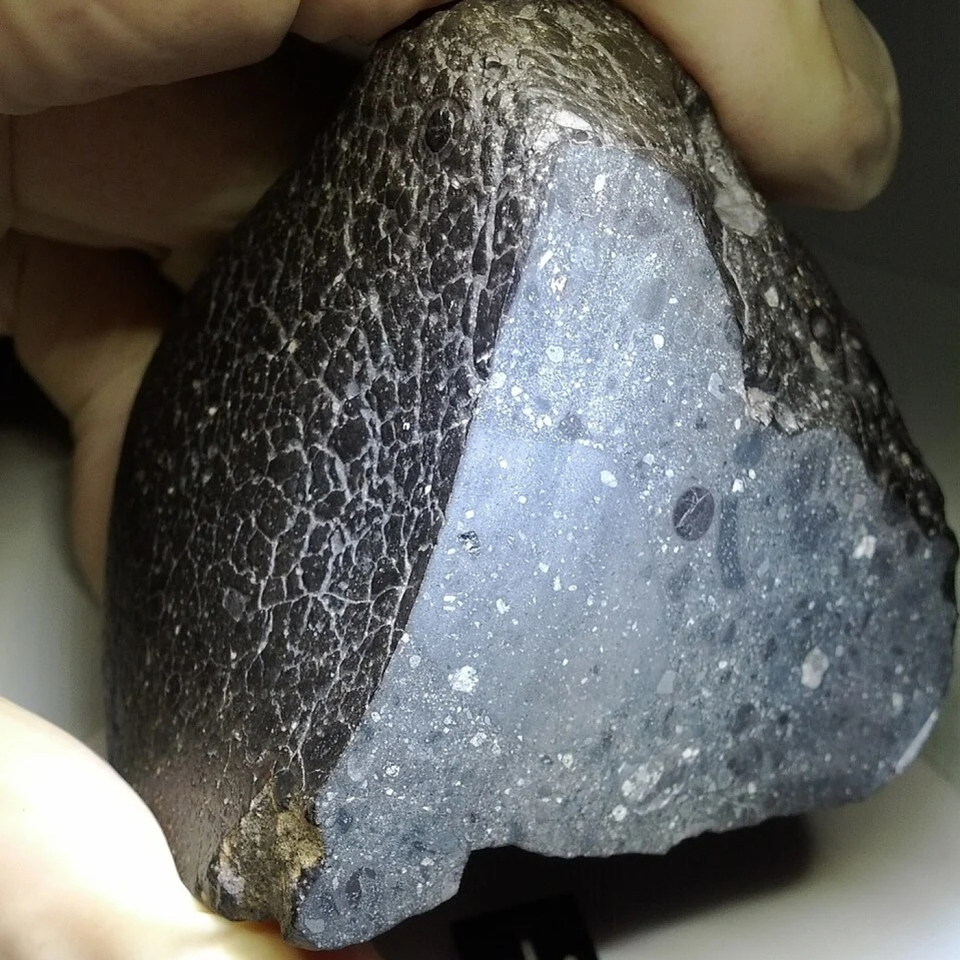 1836 - Meteoritos marcianos: Marte en la Tierra