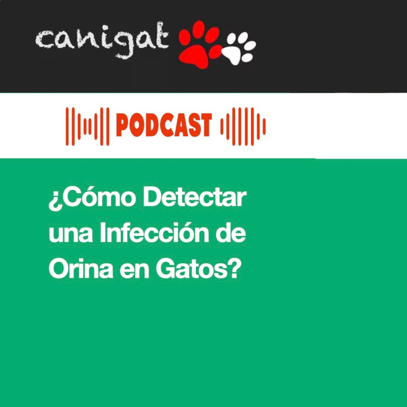 Consejos veterinarios de perros y gatos by canigat