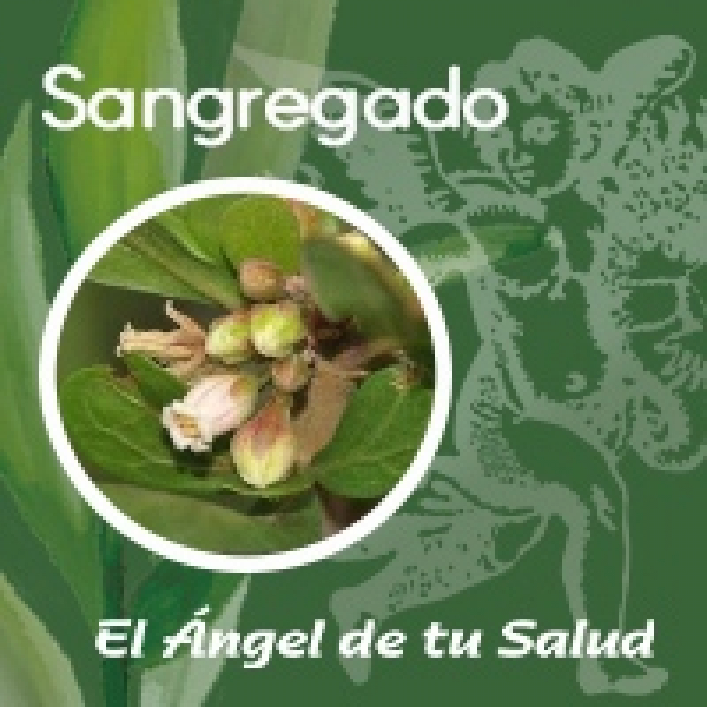 El Ángel de tu Salud - Sangregado ** episode artwork