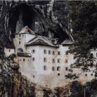 embed image