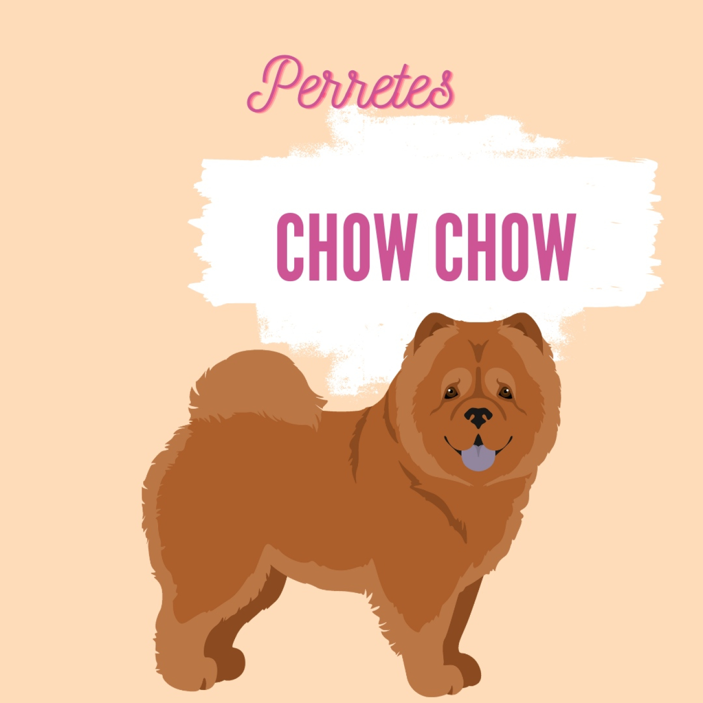 Perretes | Las razas de perros