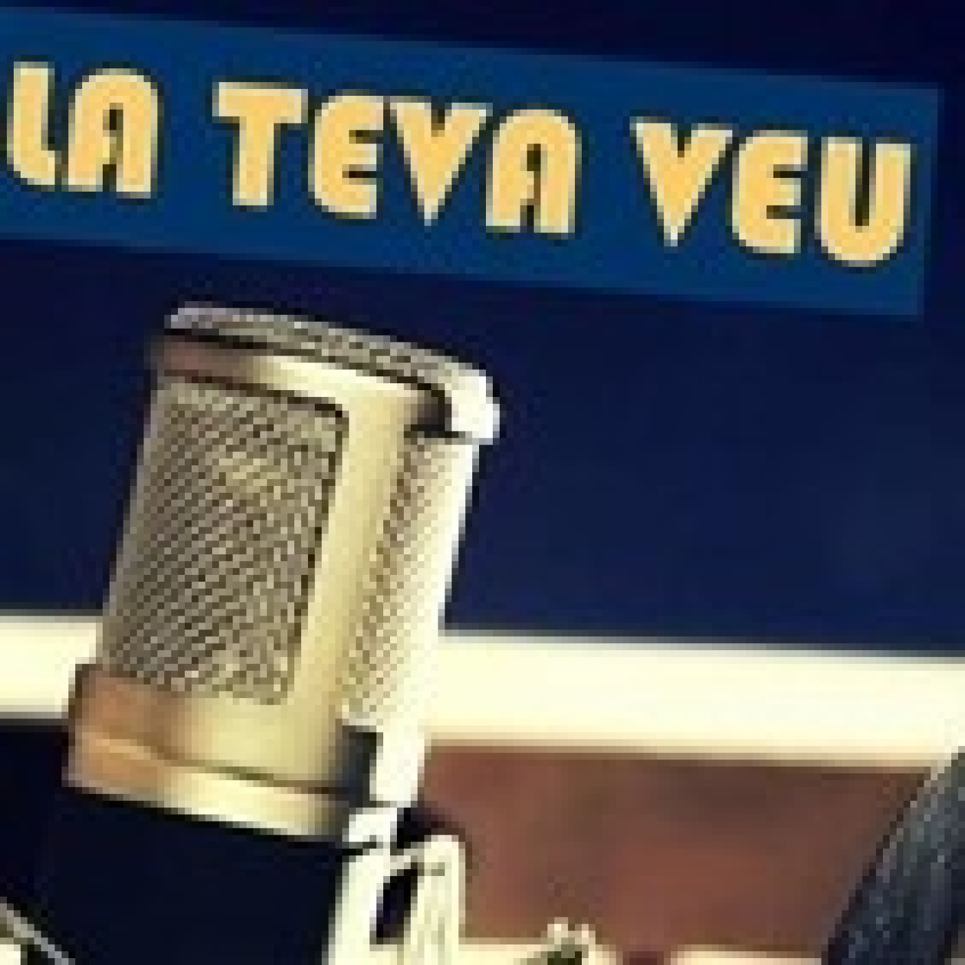 La teva veu
