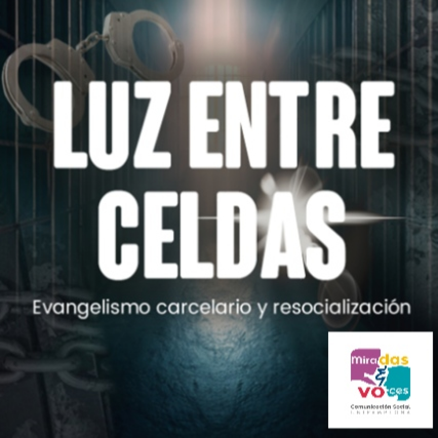 Miradas y Voces