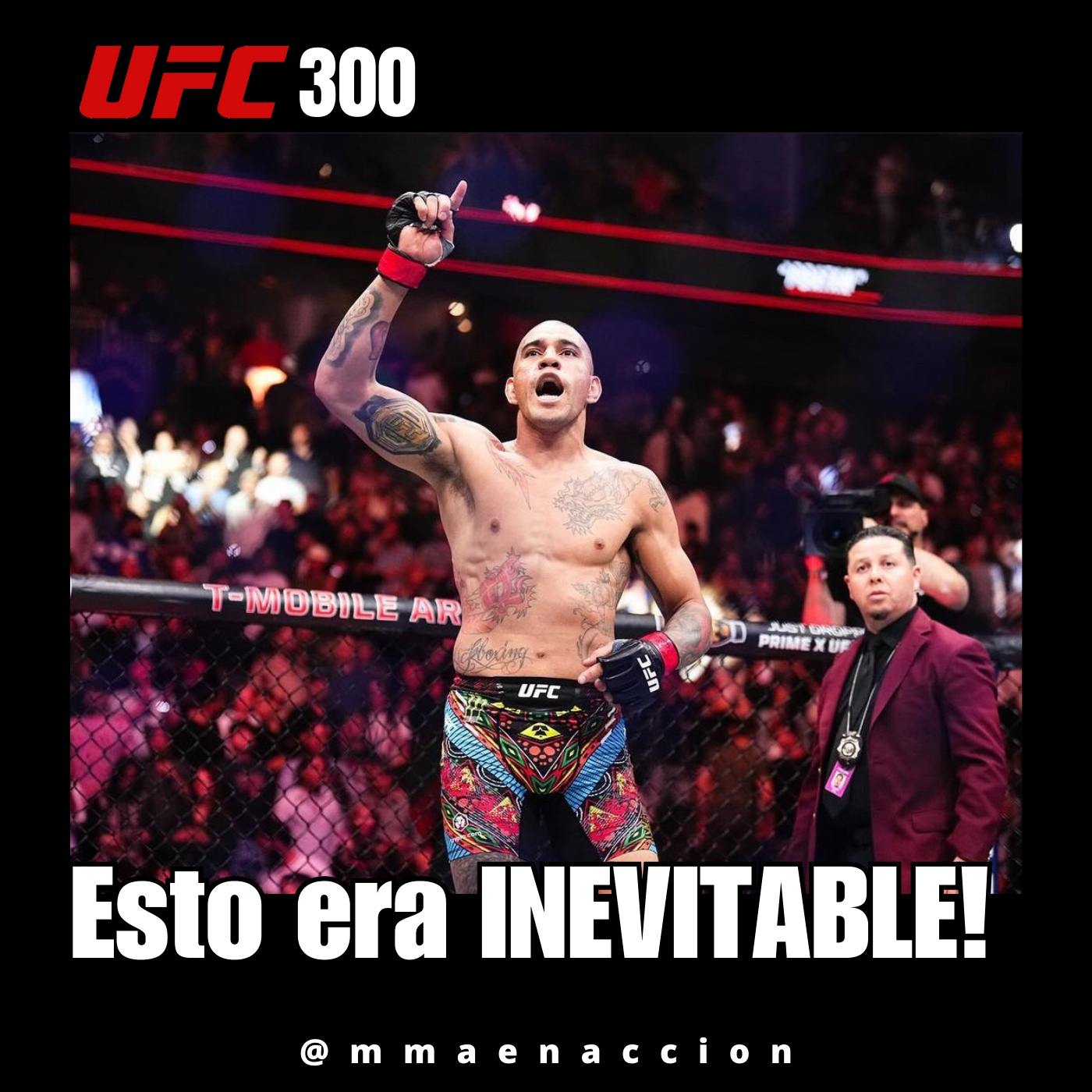 MMA en acción