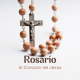 embed image