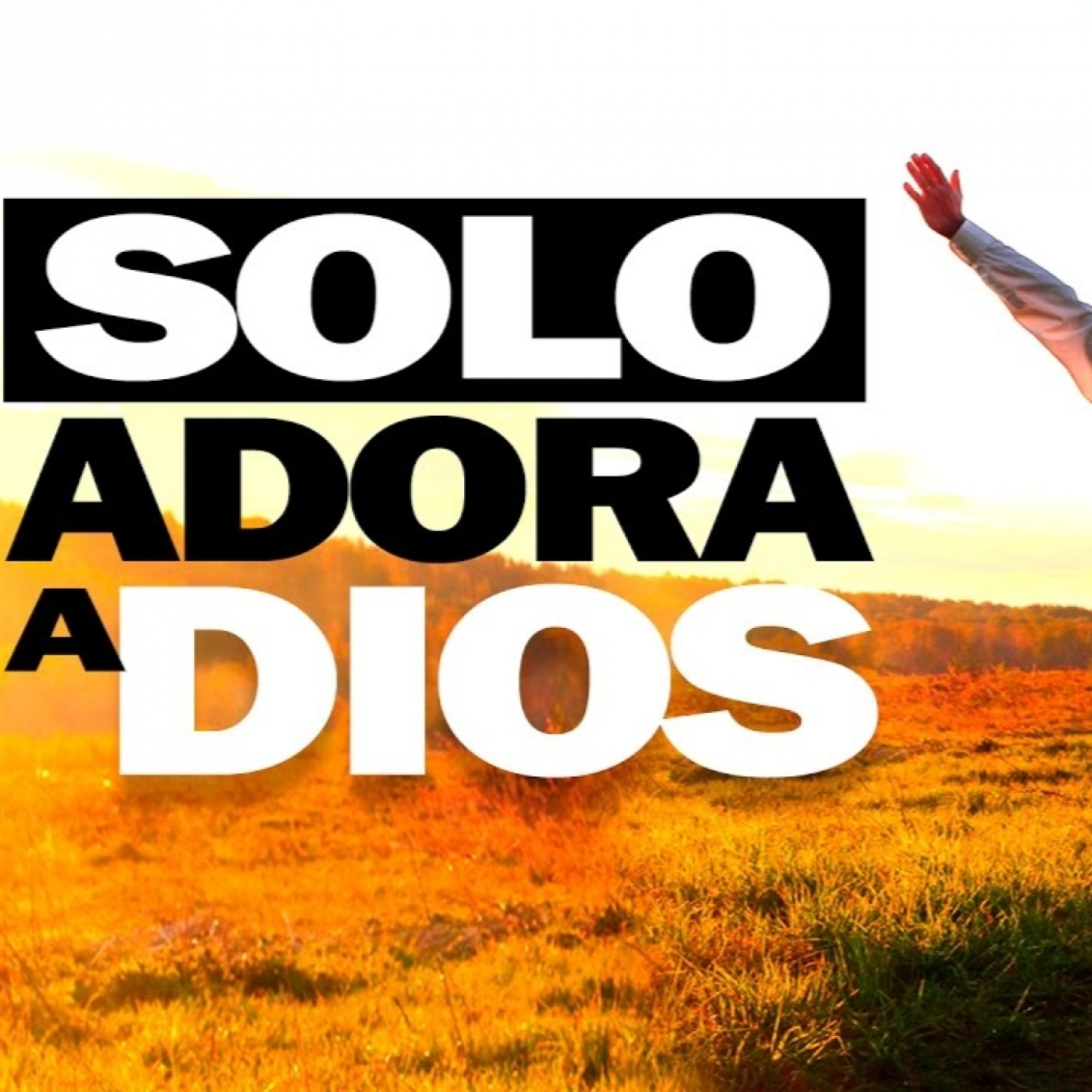 SANIDAD Y LIBERACIÓN