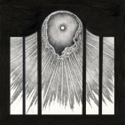 embed image