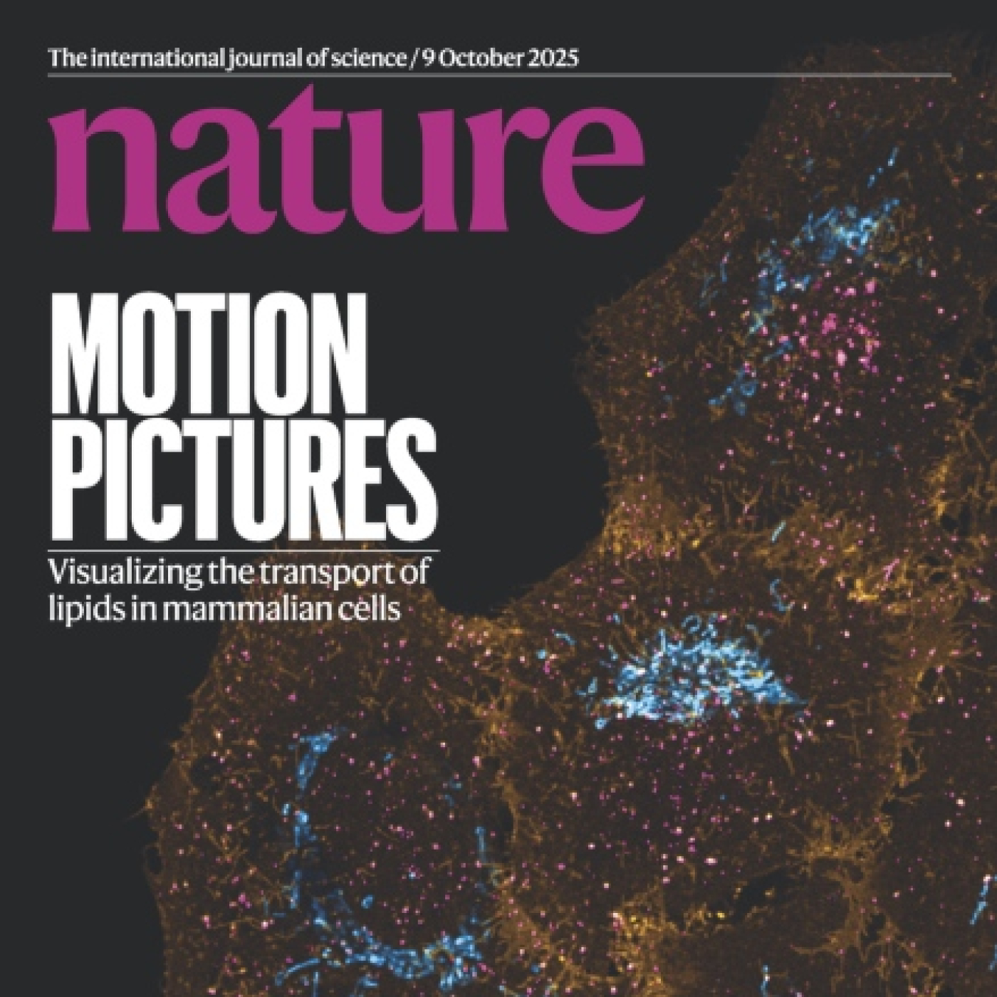 nature Vol.646 Issue 8084, 9 octubre 2025 episode artwork