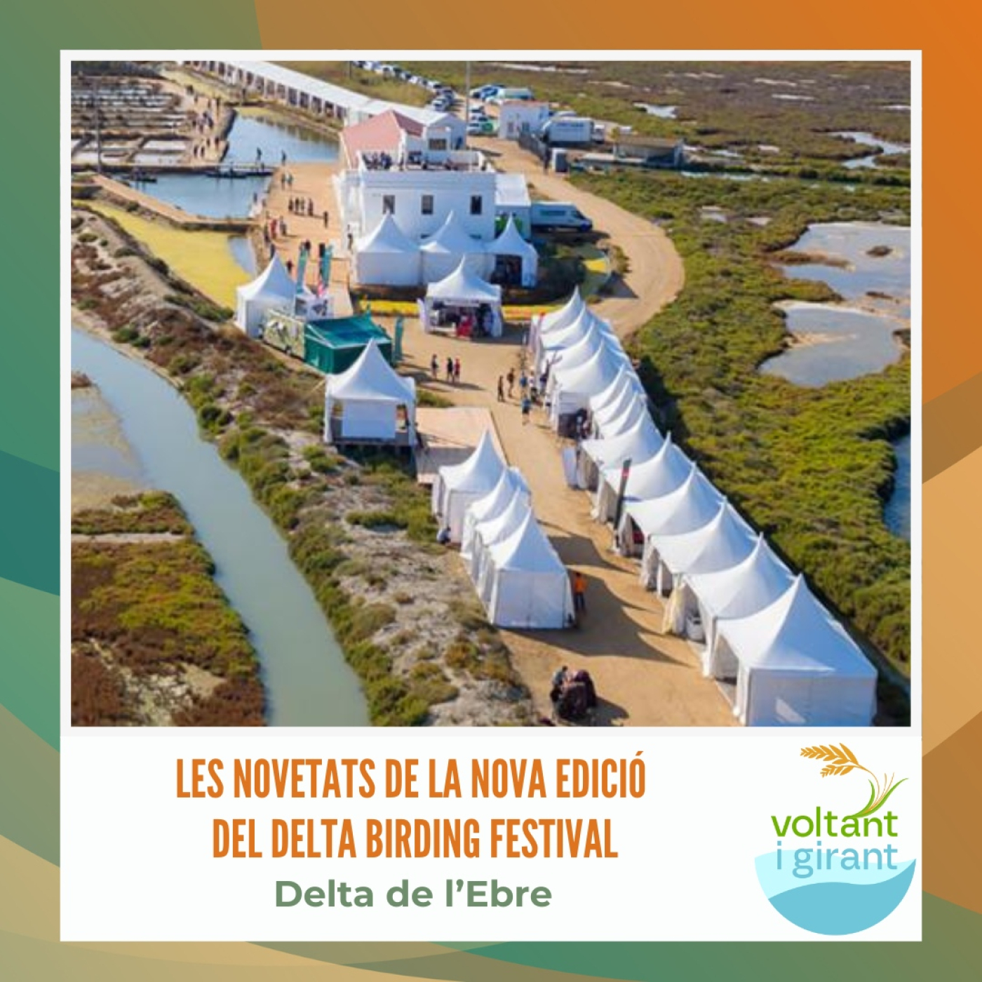 Les novetats de la nova edició del Delta Birding Festival episode artwork