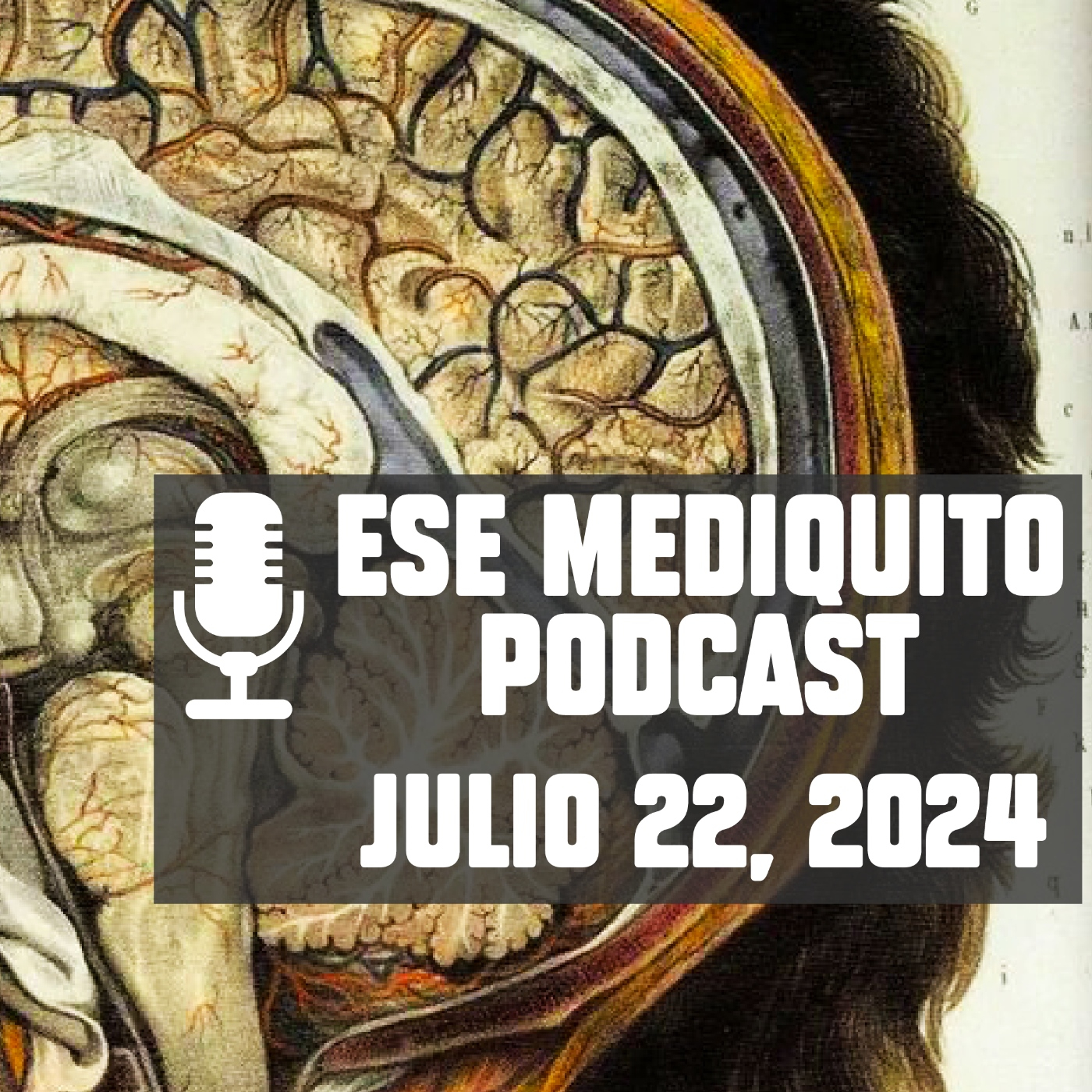 Ese Mediquito