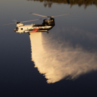 embed image