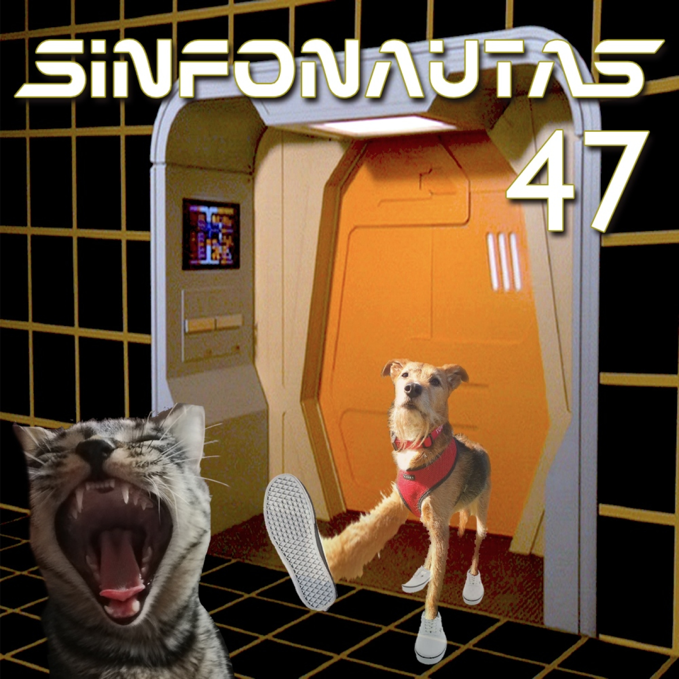 Sinfonautas