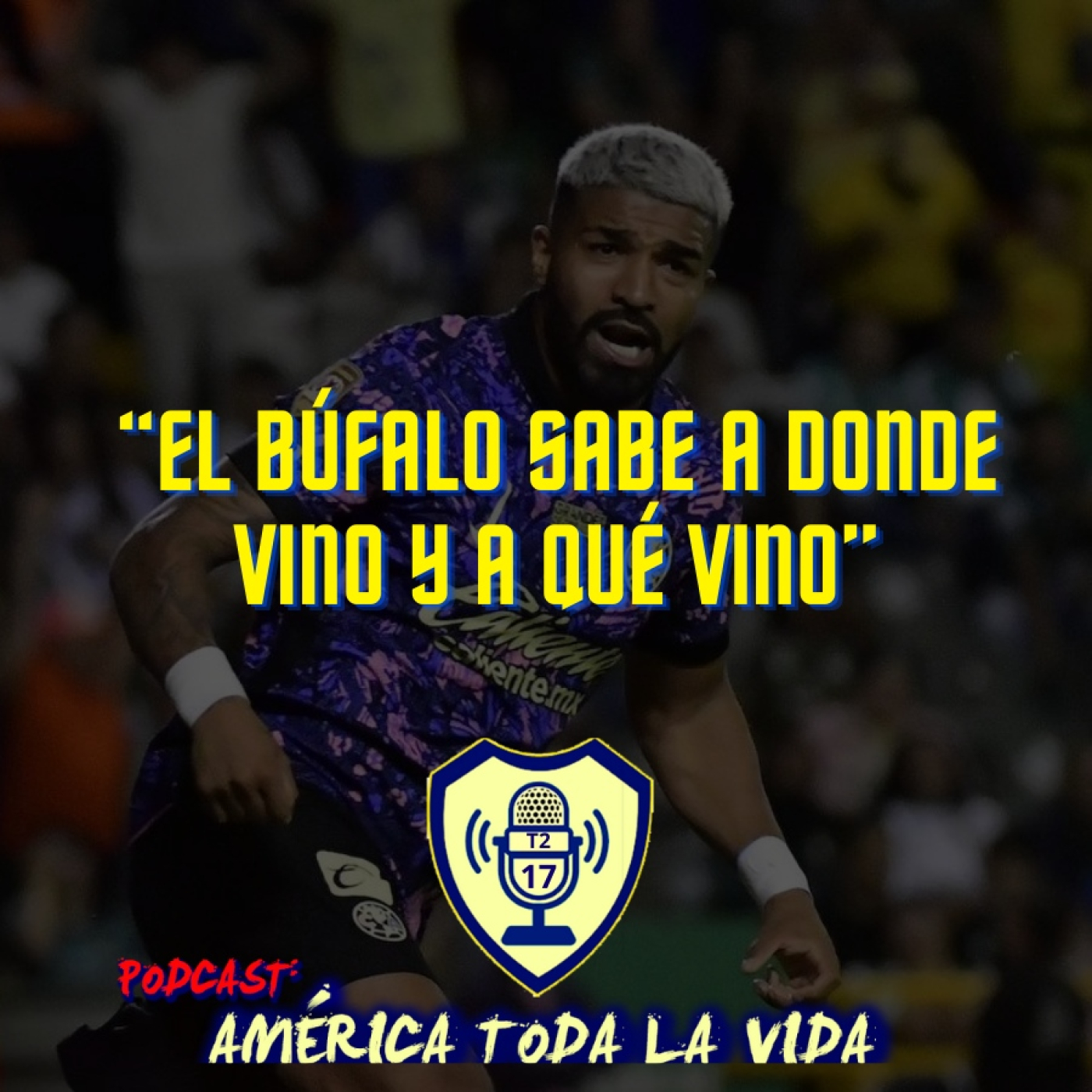 América toda la vida