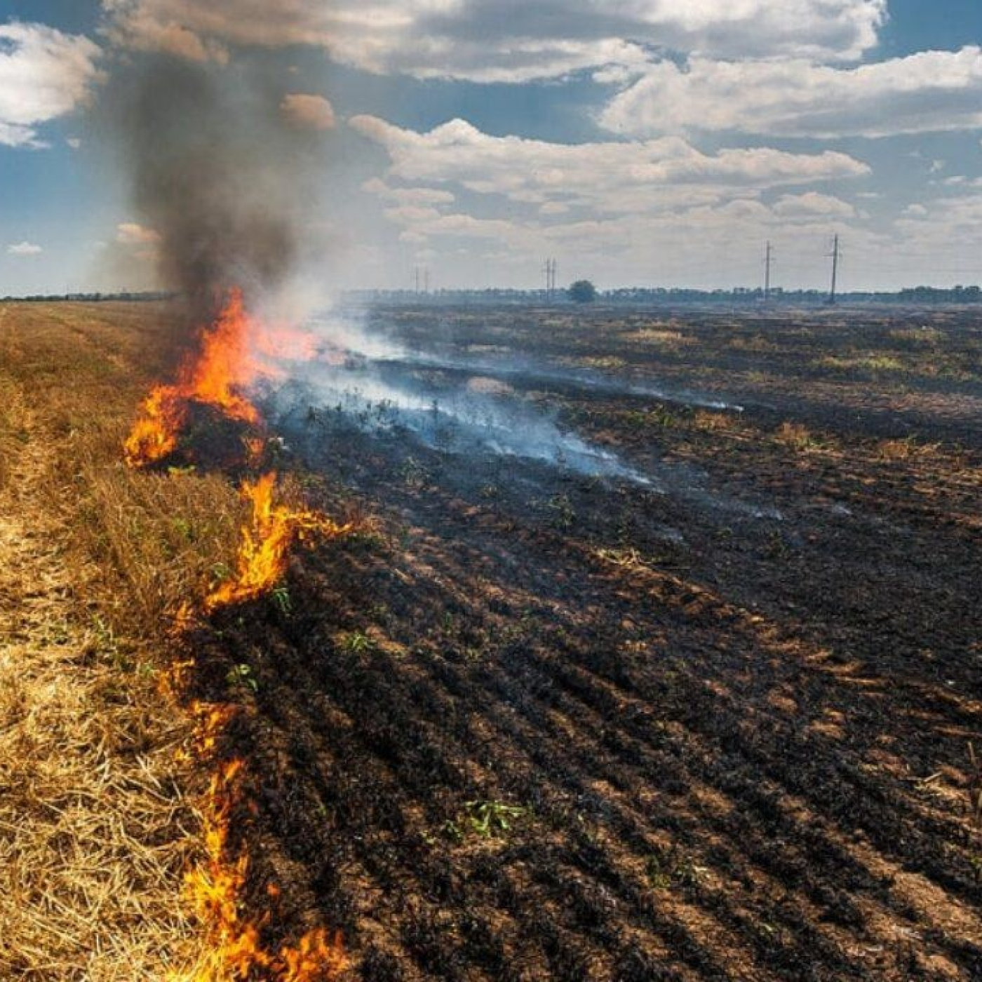 QUEMAS CONTROLADAS EN LA PROVINCIA DE VALPARAÍSO Y CUIDADO DE INCENDIOS POR LAS AUTORIDADES episode artwork