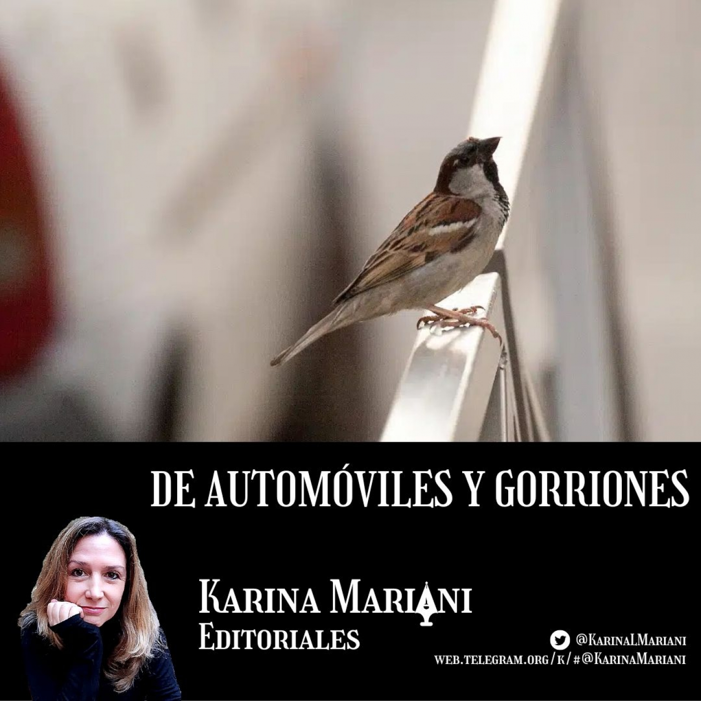 Karina Mariani Editoriales
