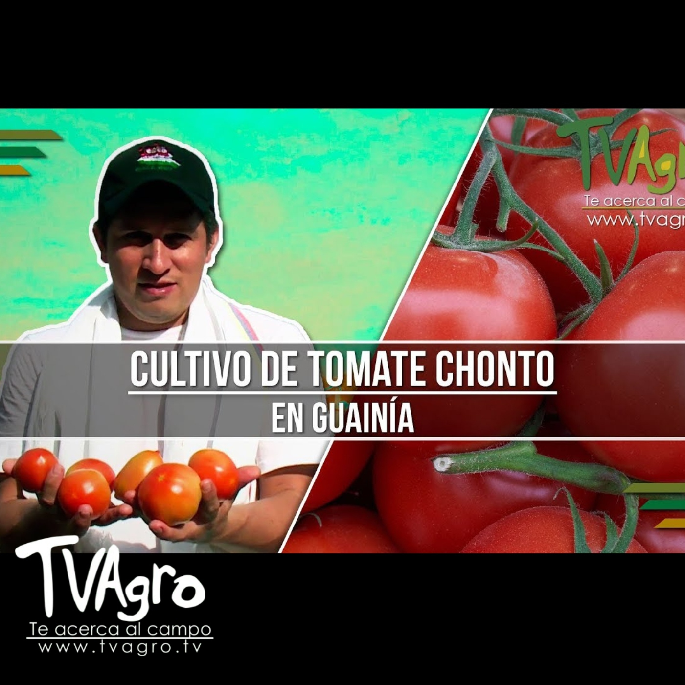 TV AGRO