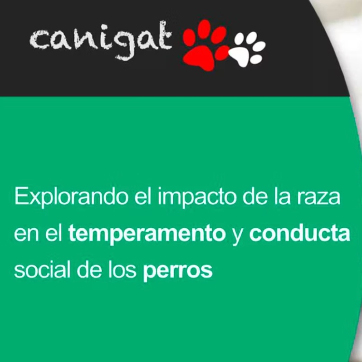 Consejos veterinarios de perros y gatos by canigat