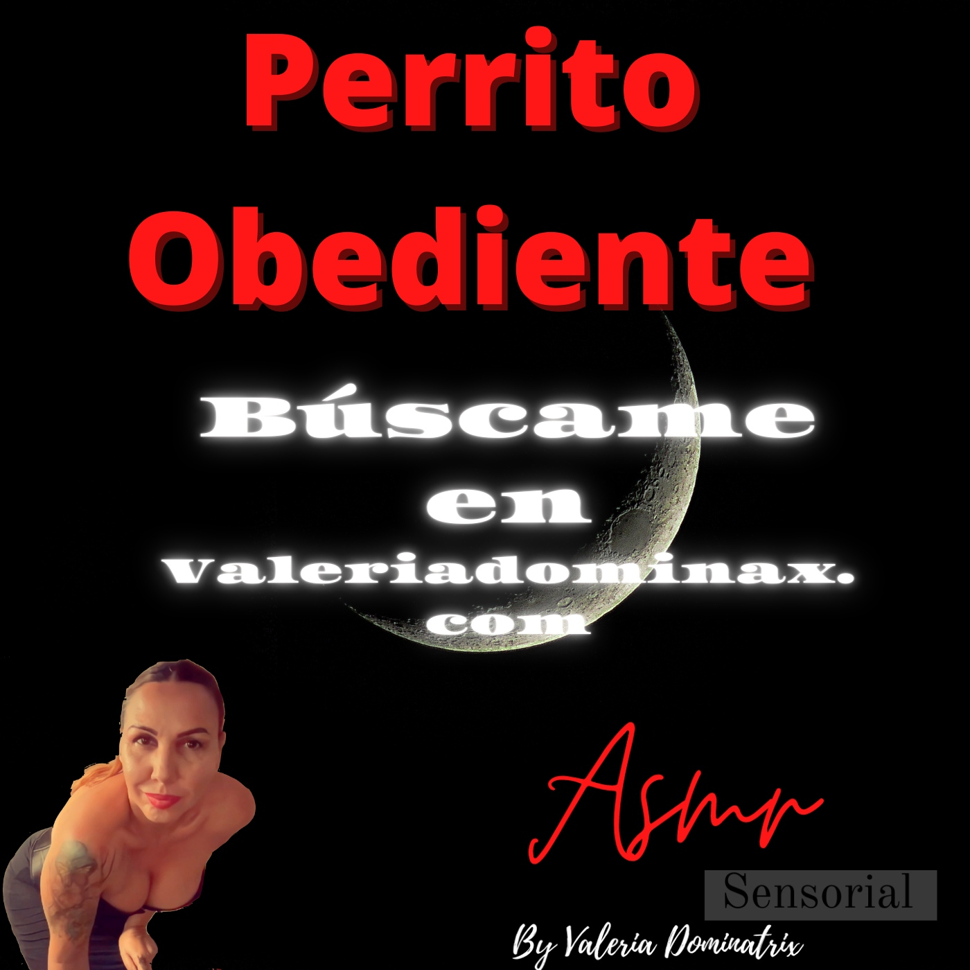 Perrito Obediente