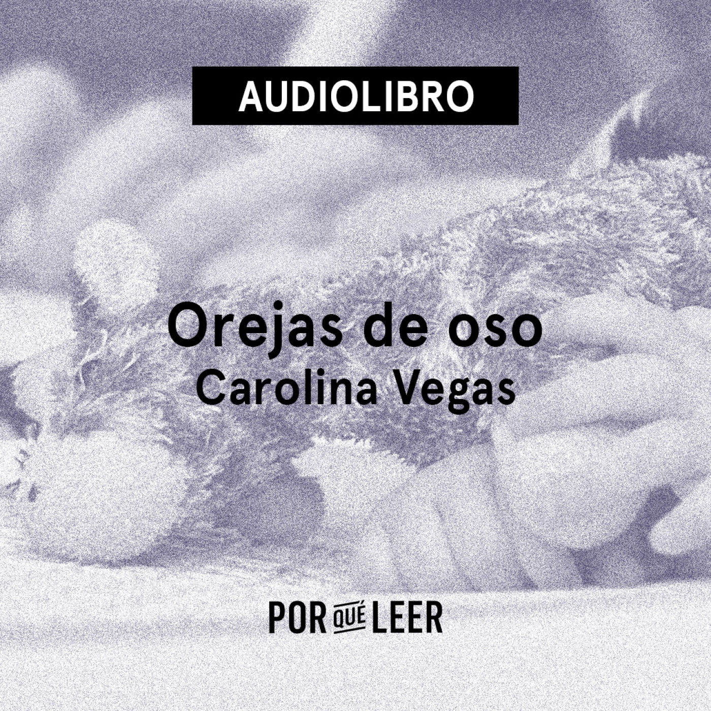 Orejas de oso - Carolina Vegas