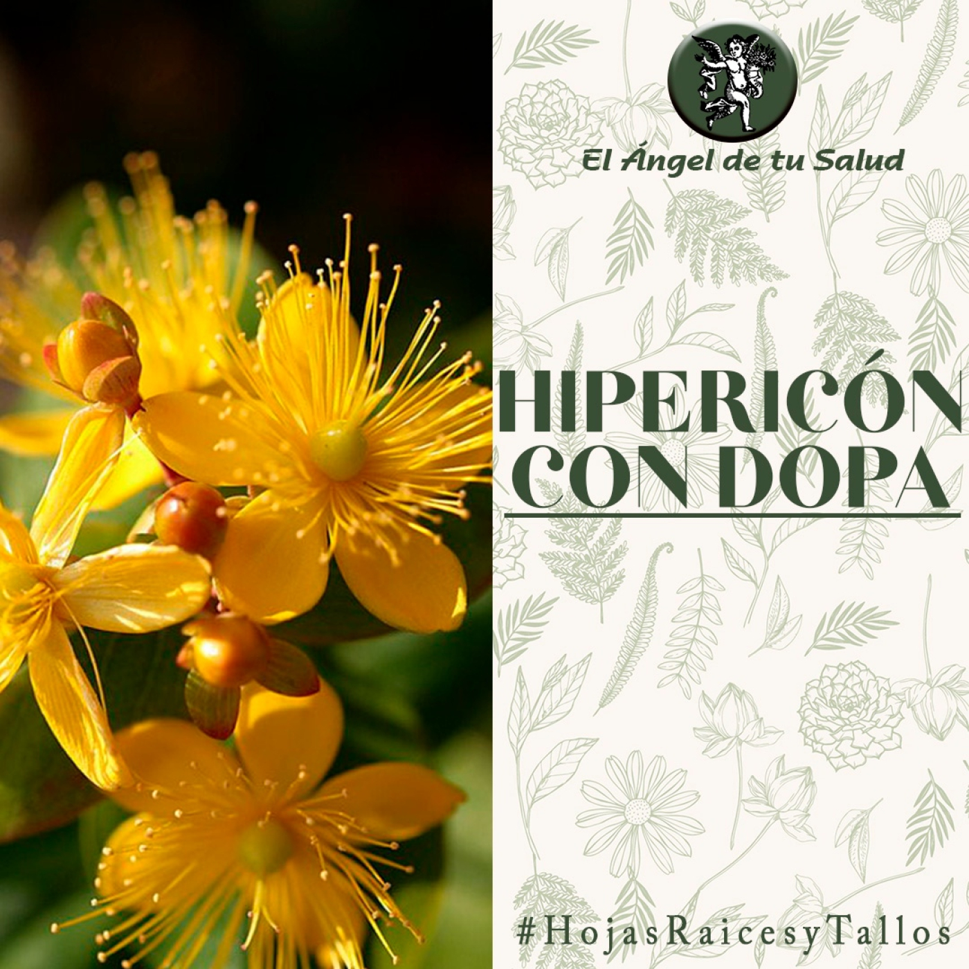 El Ángel de tu Salud - Hipericón con Dopa** episode artwork