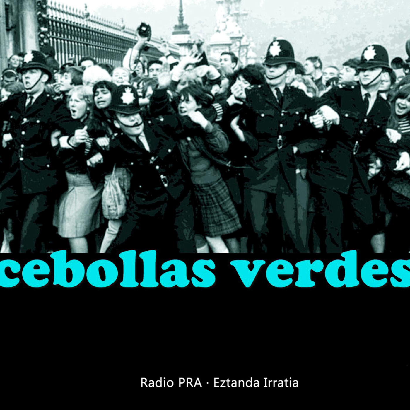 Cebollas Verdes