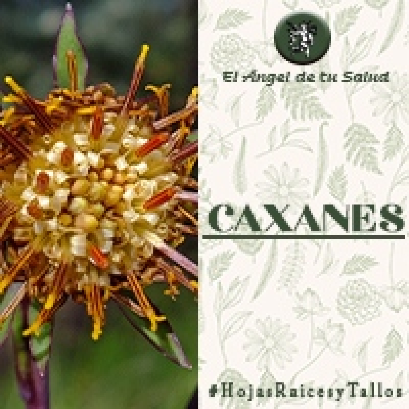 El Ángel de tu Salud - Caxanes** episode artwork