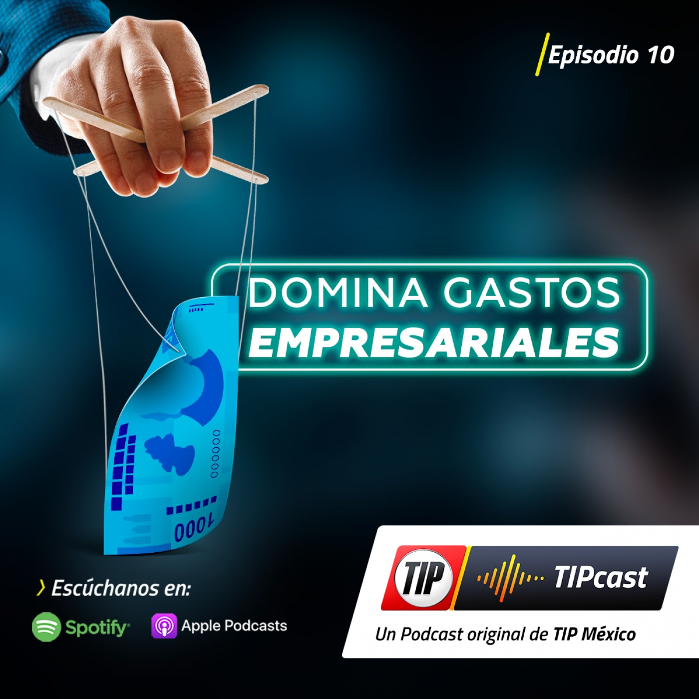 Domina los gastos empresariales