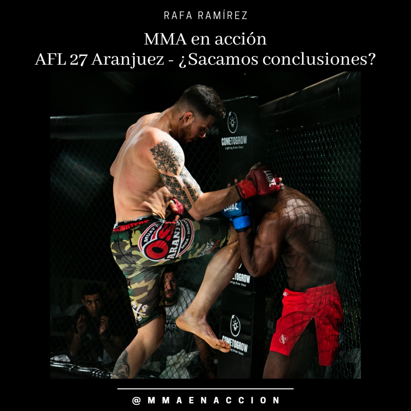 MMA en acción