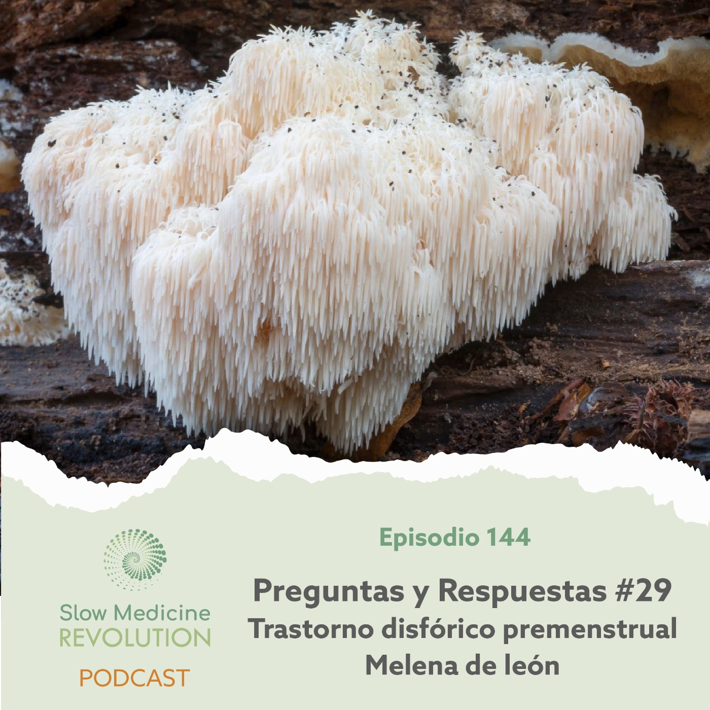 144 - P&R 29: Trastorno disfórico premenstrual / Melena de león - Episodio exclusivo para mecenas