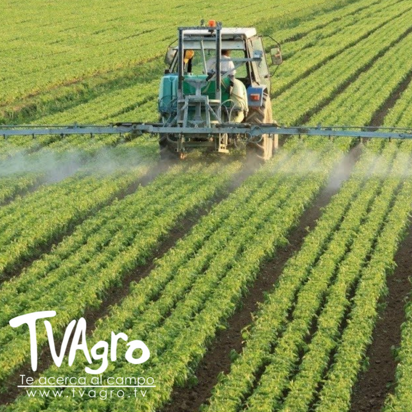 TV AGRO