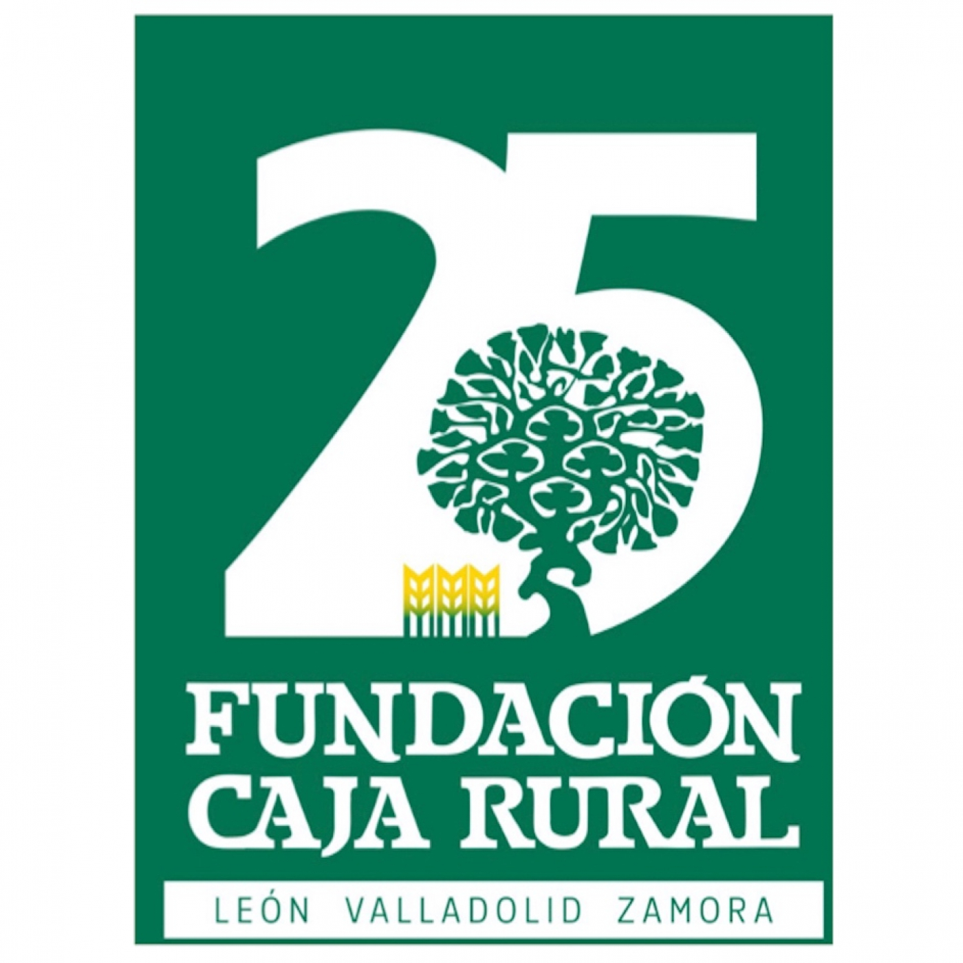 Fundación Caja Rural León Valladolid Zamora