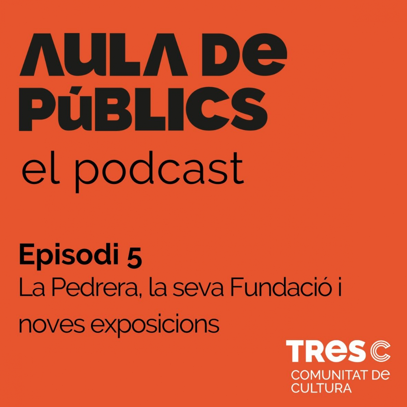 El Podcast de l\'Aula de Públics